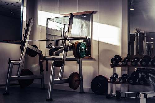 exercise barbell on rack gym
