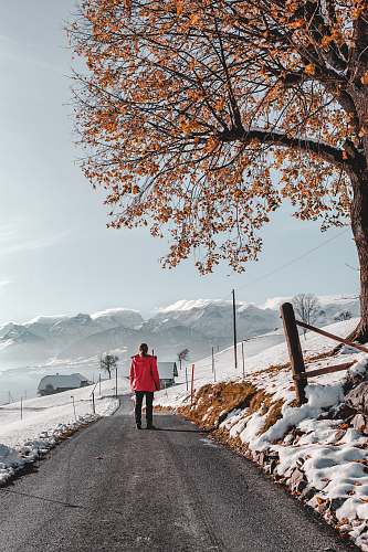 exercise photo of person walking on road wearing red jacket jogging