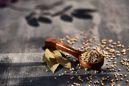 vegetable brown wooden spoon filled with seeds produce