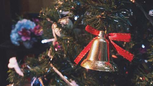 ornament gold-colored bell hanging on Christmas tree animal