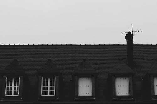 black-and-white  grey