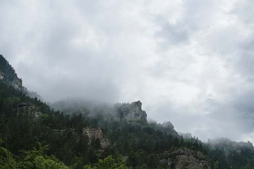 mountain grass-covered foggy mountain sky