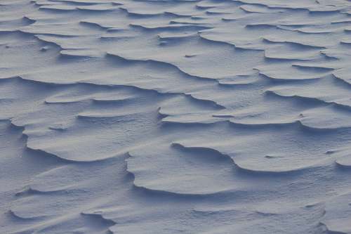 soil  nature