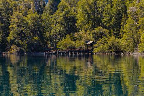 outdoors calm body of water surrounded by trees water