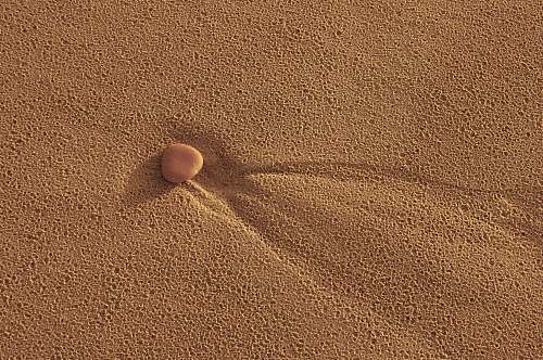 sand pebble on sand dune outdoors