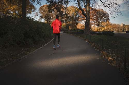 people person jogging near park during daytime human