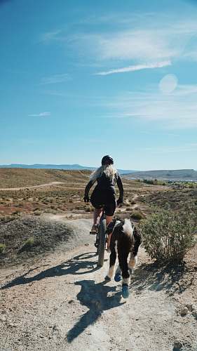 people woman riding fat bike running on road with black and white foal during daytime human