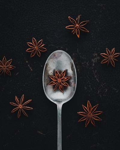 cutlery star anise on spoon spoon
