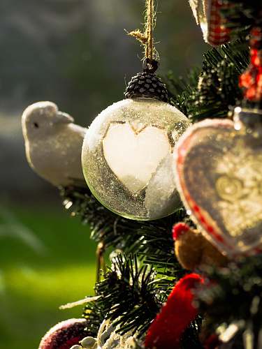 ornament white and red baubles on green christmas tree tree