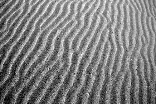 grey  black-and-white