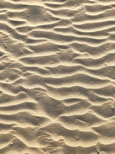 nature brown sand dunes photo outdoors