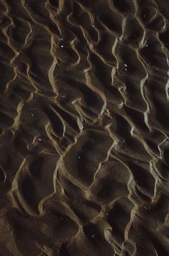 nature brown sand outdoors