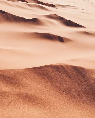 nature photo of desert sand desert