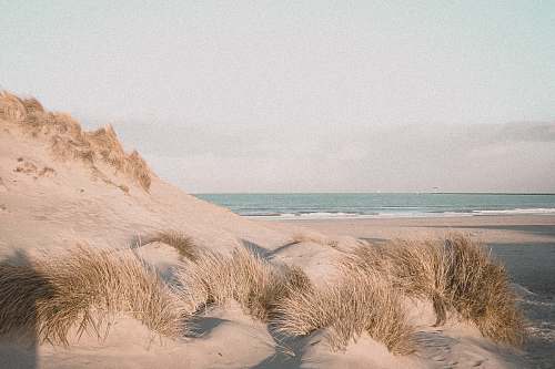soil rock formation on beach nature