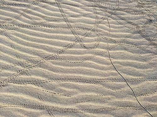nature blue and white floral textile sand