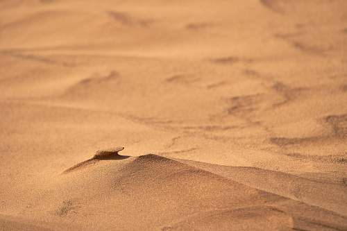 nature brown sand sand