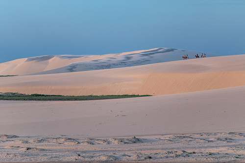 nature people and animals walking on sand dunes during golden hour sand