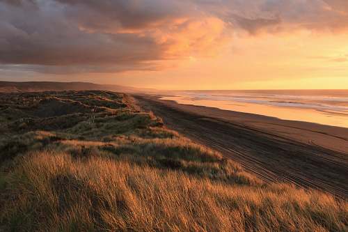 beach green grass field new zealand