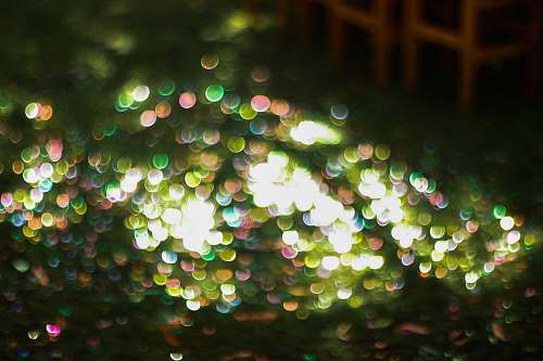 lights bokeh photography of lights christmas