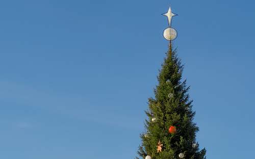 stockholm green Christmas tree sweden