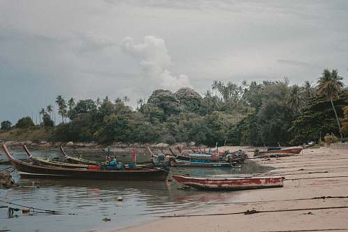 phuket boat on seashore during daytime thailand