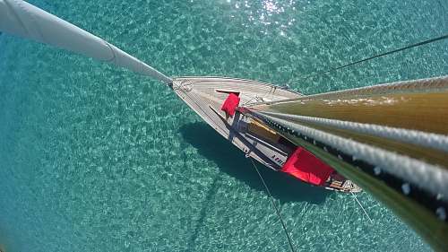 yacht white and pink sailboat at sea during daytiem sea