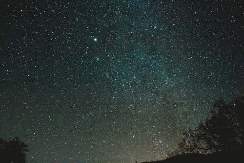 universe silhouette of trees under starry night space