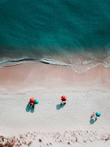sea birds eye photography of seashore water
