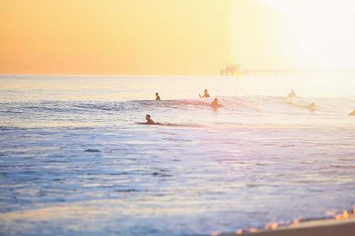 water people surfing on beach ocean