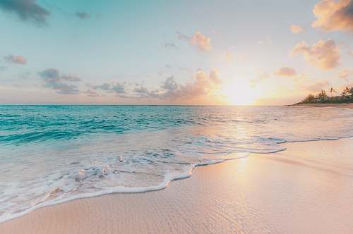 ocean seashore during golden hour sea