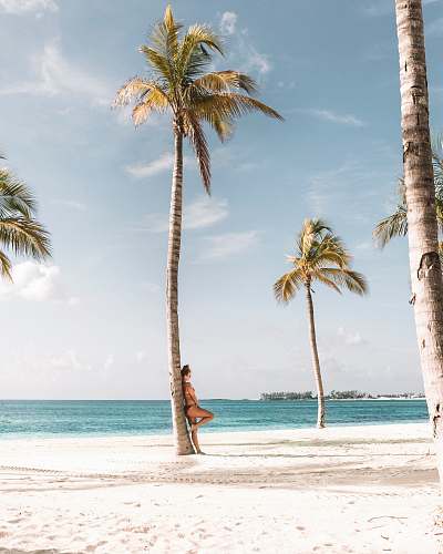 nature woman leaning on tree near beach palm tree