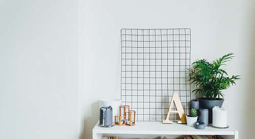 plant potted plants on table home