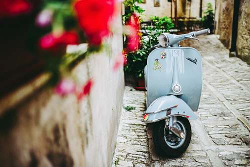 flora selective focus photo of blue motor scooter beside concrete wall jar