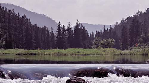 landscape wilderness at daytime land