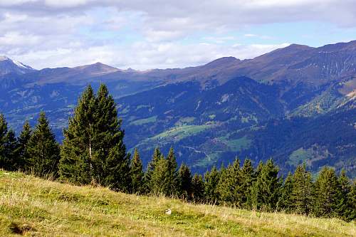 schanfigg green pine trees under cloudy sky mountain