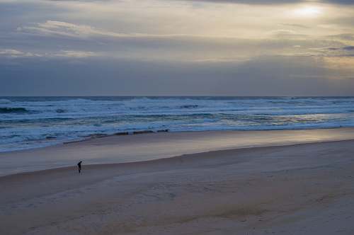 sea person walking on seashore beach