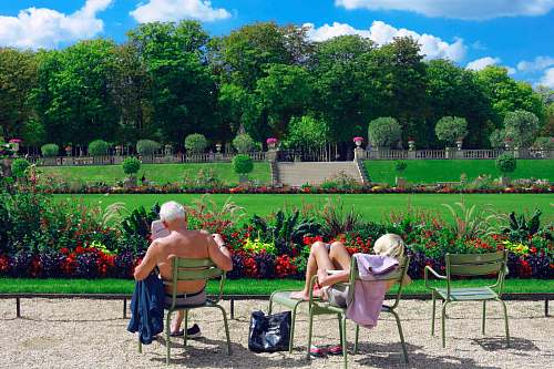 garden man sitting on green chair reading book sunbathing