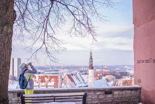 person woman drinking near bench under tree tallinn