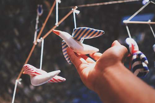 human person's hand holding bird decor people