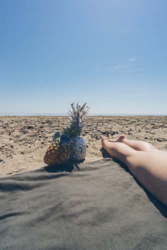 human two pineapple near barefooted person on brown field horizon