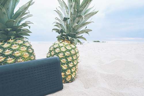 food rectangular black Nixon portable Bluetooth speaker near two pineapples fruit