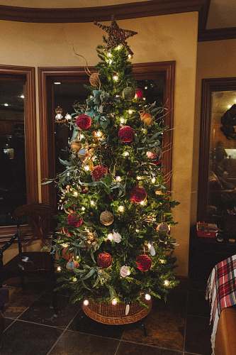 ornament green Christmas tree christmas tree
