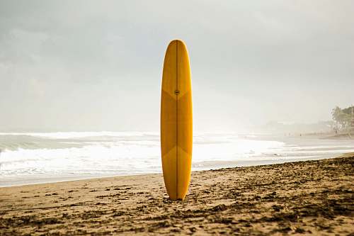 outdoors brown surfboard standing on sea shore nature