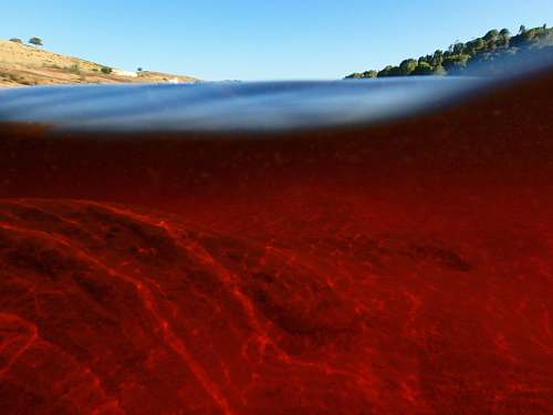 nature underwater photography of water