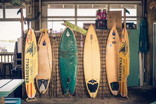 surfboard six assorted-color surfboards on brown board sports