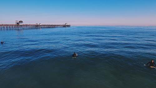 pier three people swimming on ocean under blue sky dock