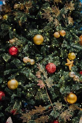 plant baubles hanging on Christmas tree ornament