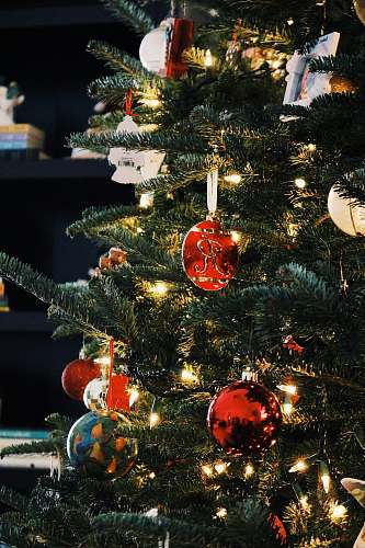 plant baubles hung on Christmas tree ornament