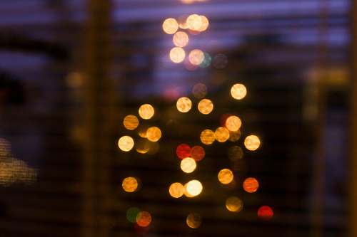 lights bokeh lights photography christmas tree