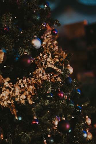 plant Christmas tree with baubles christmas tree